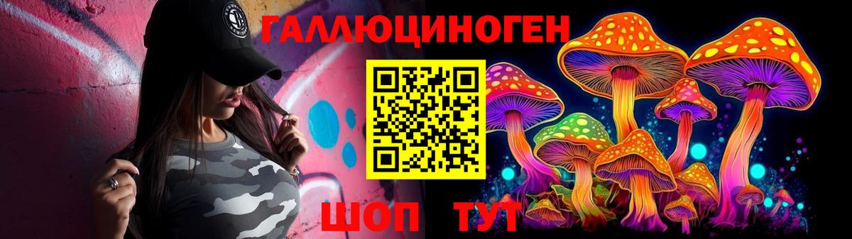 Псилоцибиновые грибы Psilocybe Фурманов